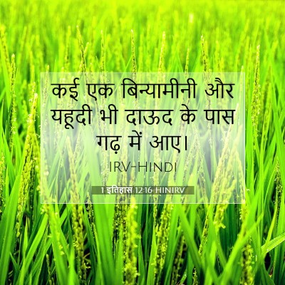 Picture 07 - 1 इतिहास 12:16 HINIRV - कई एक बिन्यामीनी - Bible Verse Picture