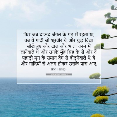 Picture 07 - 1 इतिहास 12:8 HINIRV - फिर जब दाऊद जंगल के - Bible Verse Picture