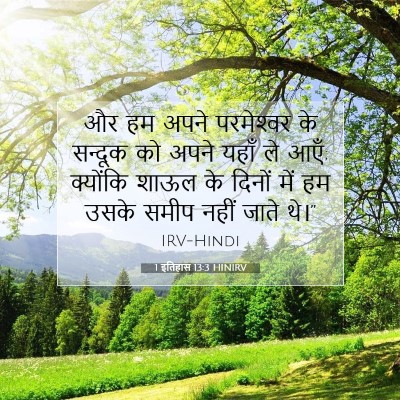 Picture 07 - 1 इतिहास 13:3 HINIRV - और हम अपने - Bible Verse Picture