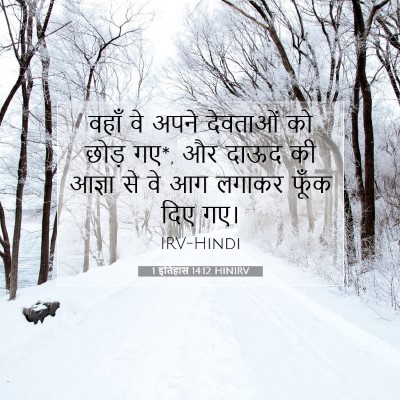 Picture 07 - 1 इतिहास 14:12 HINIRV - वहाँ वे अपने - Bible Verse Picture