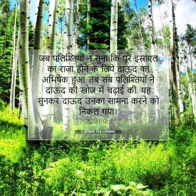 Picture 07 - 1 इतिहास 14:8 HINIRV - जब पलिश्तियों ने - Bible Verse Picture