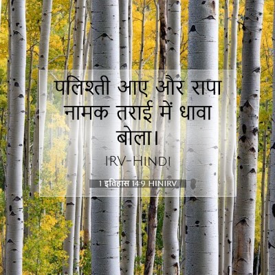 Picture 07 - 1 इतिहास 14:9 HINIRV - पलिश्ती आए और रापा - Bible Verse Picture