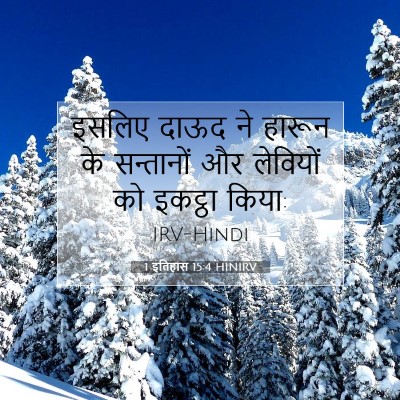 Picture 07 - 1 इतिहास 15:4 HINIRV - इसलिए दाऊद ने - Bible Verse Picture