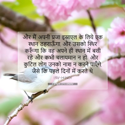 Picture 07 - 1 इतिहास 17:9 HINIRV - और मैं अपनी प्रजा - Bible Verse Picture