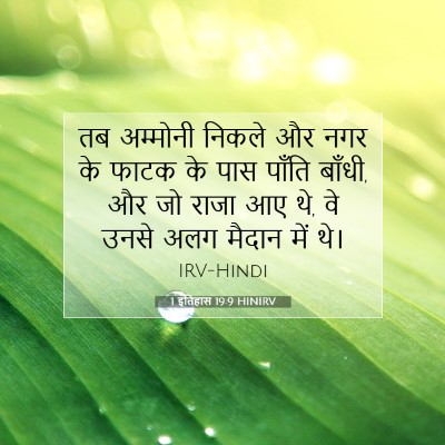 Picture 07 - 1 इतिहास 19:9 HINIRV - तब अम्मोनी निकले - Bible Verse Picture