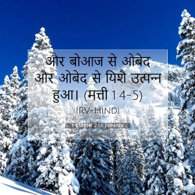 Picture 07 - 1 इतिहास 2:12 HINIRV - और बोआज से ओबेद और - Bible Verse Picture