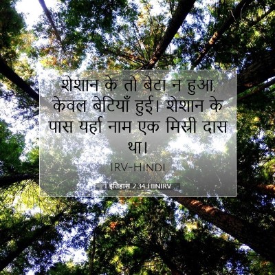 Picture 07 - 1 इतिहास 2:34 HINIRV - शेशान के तो बेटा न - Bible Verse Picture