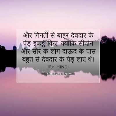 Picture 07 - 1 इतिहास 22:4 HINIRV - और गिनती से बाहर - Bible Verse Picture