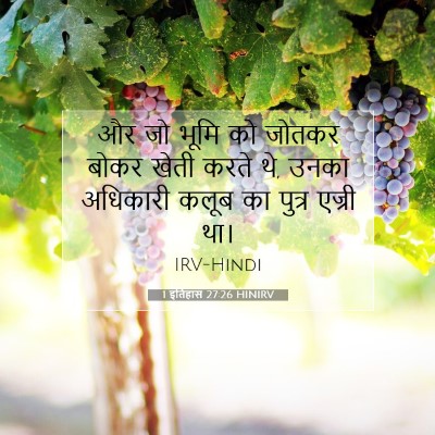Picture 07 - 1 इतिहास 27:26 HINIRV - और जो भूमि को जोतकर - Bible Verse Picture