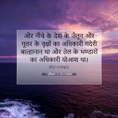 Picture 07 - 1 इतिहास 27:28 HINIRV - और नीचे के देश के - Bible Verse Picture
