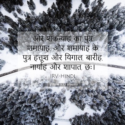 Picture 07 - 1 इतिहास 3:22 HINIRV - और शकन्याह का - Bible Verse Picture