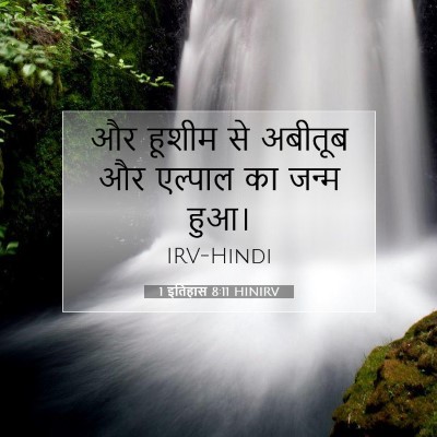 Picture 07 - 1 इतिहास 8:11 HINIRV - और हूशीम से अबीतूब - Bible Verse Picture