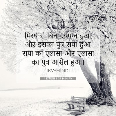 Picture 07 - 1 इतिहास 8:37 HINIRV - मिस्पे से बिना - Bible Verse Picture