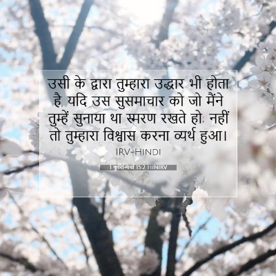 Picture 07 - 1 कुरिन्थियों 15:2 HINIRV - उसी के द्वारा - Bible Verse Picture