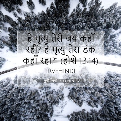 Picture 07 - 1 कुरिन्थियों 15:55 HINIRV - हे मृत्यु तेरी जय - Bible Verse Picture
