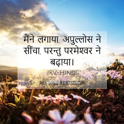 Picture 07 - 1 कुरिन्थियों 3:6 HINIRV - मैंने लगाया, - Bible Verse Picture