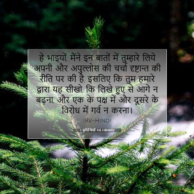 Picture 07 - 1 कुरिन्थियों 4:6 HINIRV - हे भाइयों, मैंने इन - Bible Verse Picture
