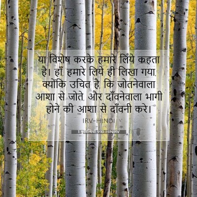 Picture 07 - 1 कुरिन्थियों 9:10 HINIRV - या विशेष करके - Bible Verse Picture