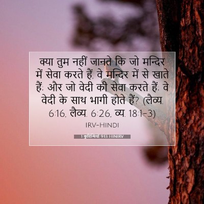 Picture 07 - 1 कुरिन्थियों 9:13 HINIRV - क्या तुम नहीं - Bible Verse Picture