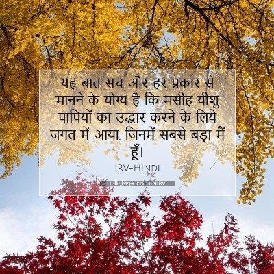 Picture 07 - 1 तीमुथियुस 1:15 HINIRV - यह बात सच और हर - Bible Verse Picture