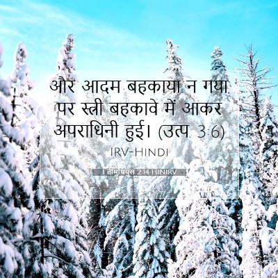 Picture 07 - 1 तीमुथियुस 2:14 HINIRV - और आदम बहकाया न - Bible Verse Picture