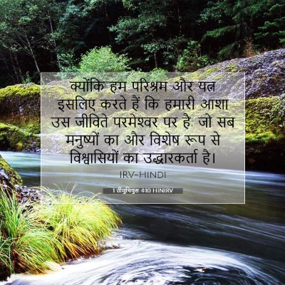Picture 07 - 1 तीमुथियुस 4:10 HINIRV - क्योंकि हम - Bible Verse Picture