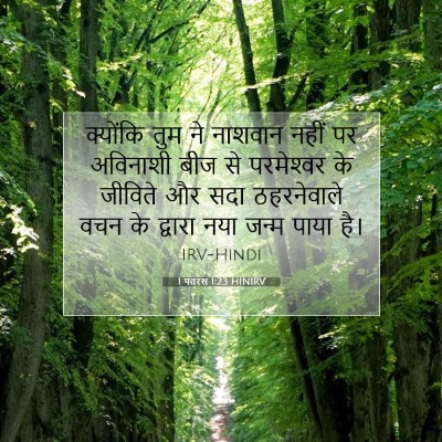 Picture 07 - 1 पतरस 1:23 HINIRV - क्योंकि तुम ने - Bible Verse Picture