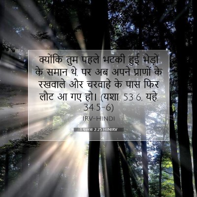 Picture 07 - 1 पतरस 2:25 HINIRV - क्योंकि तुम पहले - Bible Verse Picture