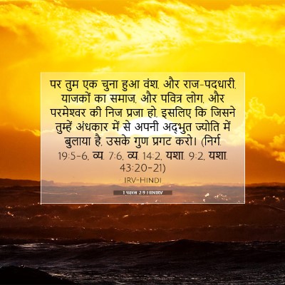 Picture 07 - 1 पतरस 2:9 HINIRV - पर तुम एक चुना हुआ - Bible Verse Picture