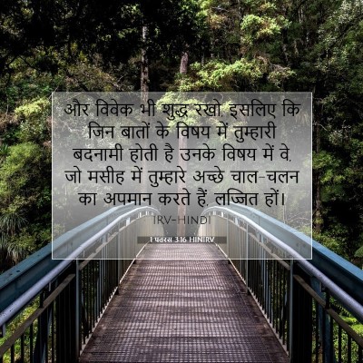 Picture 07 - 1 पतरस 3:16 HINIRV - और विवेक भी शुद्ध - Bible Verse Picture
