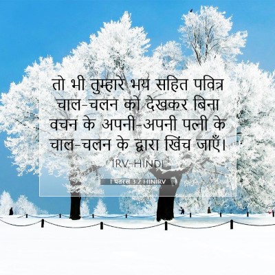 Picture 07 - 1 पतरस 3:2 HINIRV - तो भी तुम्हारे भय - Bible Verse Picture