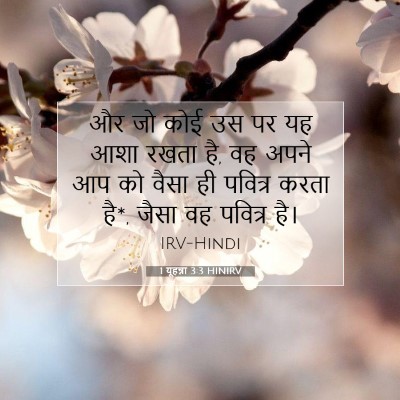 Picture 07 - 1 यूहन्ना 3:3 HINIRV - और जो कोई उस पर यह - Bible Verse Picture