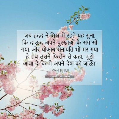 Picture 07 - 1 राजाओं 11:21 HINIRV - जब हदद ने मिस्र में - Bible Verse Picture