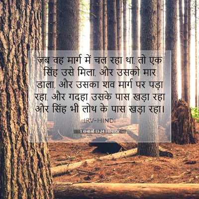 Picture 07 - 1 राजाओं 13:24 HINIRV - जब वह मार्ग में चल - Bible Verse Picture