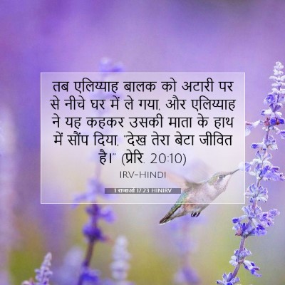 Picture 07 - 1 राजाओं 17:23 HINIRV - तब एलिय्याह बालक - Bible Verse Picture