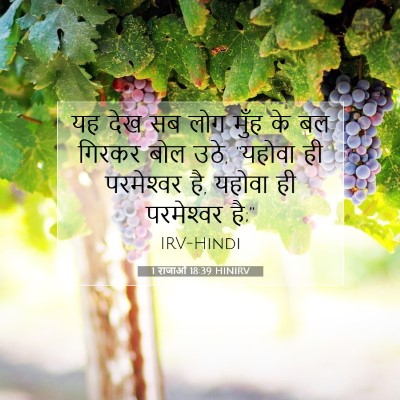 Picture 07 - 1 राजाओं 18:39 HINIRV - यह देख सब लोग मुँह - Bible Verse Picture