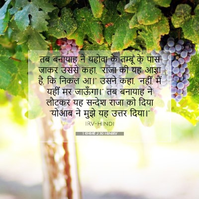 Picture 07 - 1 राजाओं 2:30 HINIRV - तब बनायाह ने यहोवा - Bible Verse Picture