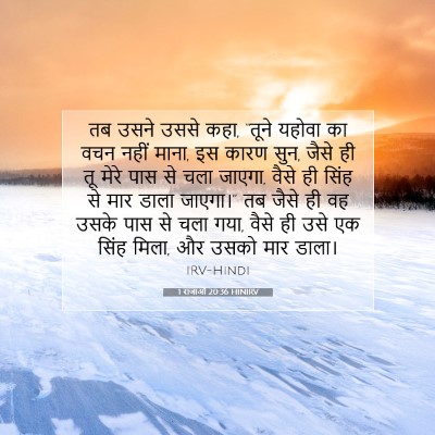 Picture 07 - 1 राजाओं 20:36 HINIRV - तब उसने उससे कहा, - Bible Verse Picture