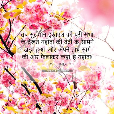 Picture 07 - 1 राजाओं 8:22 HINIRV - तब सुलैमान - Bible Verse Picture