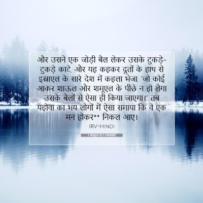 Picture 07 - 1 शमूएल 11:7 HINIRV - और उसने एक जोड़ी - Bible Verse Picture