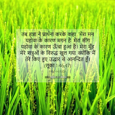 Picture 07 - 1 शमूएल 2:1 HINIRV - तब हन्ना ने - Bible Verse Picture