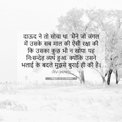 Picture 07 - 1 शमूएल 25:21 HINIRV - दाऊद ने तो सोचा था, - Bible Verse Picture