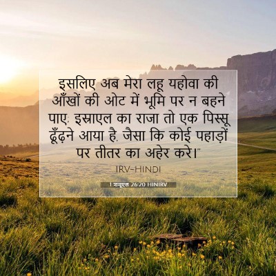 Picture 07 - 1 शमूएल 26:20 HINIRV - इसलिए अब मेरा लहू - Bible Verse Picture