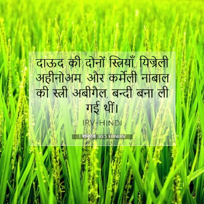 Picture 07 - 1 शमूएल 30:5 HINIRV - दाऊद की दोनों - Bible Verse Picture