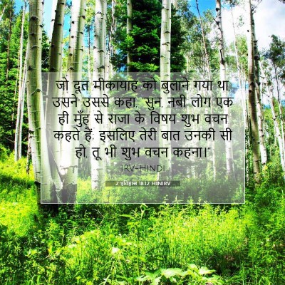 Picture 07 - 2 इतिहास 18:12 HINIRV - जो दूत मीकायाह को - Bible Verse Picture