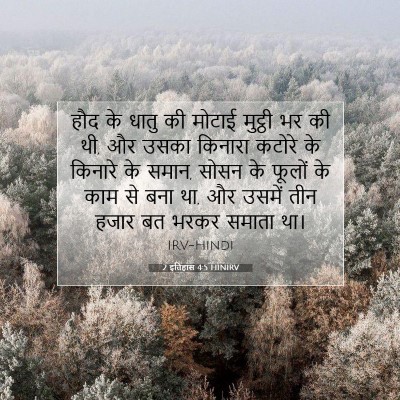 Picture 07 - 2 इतिहास 4:5 HINIRV - हौद के धातु की - Bible Verse Picture