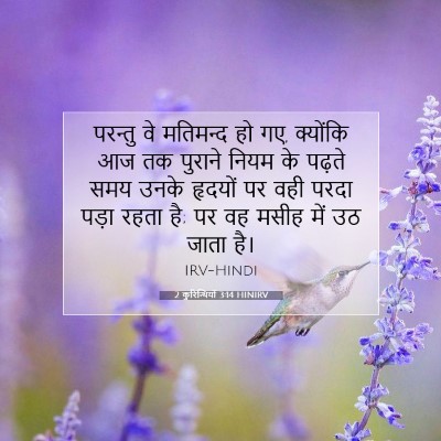 Picture 07 - 2 कुरिन्थियों 3:14 HINIRV - परन्तु वे मतिमन्द - Bible Verse Picture