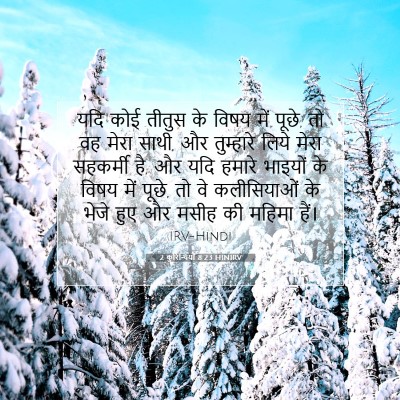 Picture 07 - 2 कुरिन्थियों 8:23 HINIRV - यदि कोई तीतुस के - Bible Verse Picture