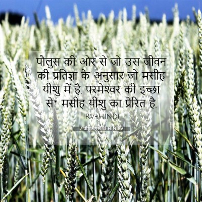 Picture 07 - 2 तीमुथियुस 1:1 HINIRV - पौलुस की ओर से जो - Bible Verse Picture