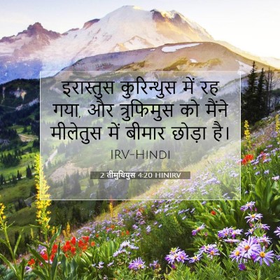 Picture 07 - 2 तीमुथियुस 4:20 HINIRV - इरास्तुस - Bible Verse Picture